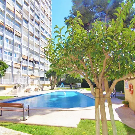 Albatros 18-8 Benidorm