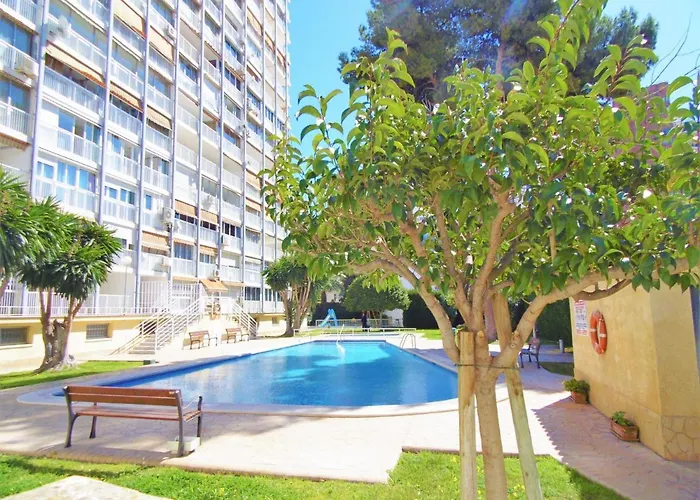 Albatros 18-8 Benidorm